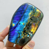 16 Pieces Labradorite Polished Free Form -Wholesale Crystals