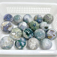 17 Pieces Moss Agate Spheres - Wholesale Crystals