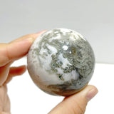 17 Pieces Moss Agate Spheres - Wholesale Crystals
