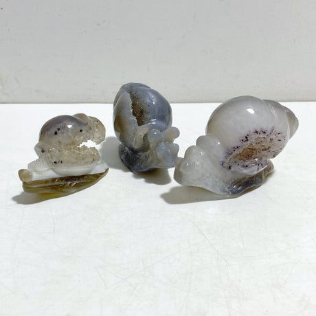 18 Pieces Geode Druzy Agate Snail Carving - Wholesale Crystals