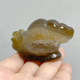 18 Pieces Geode Druzy Agate Snail Carving - Wholesale Crystals