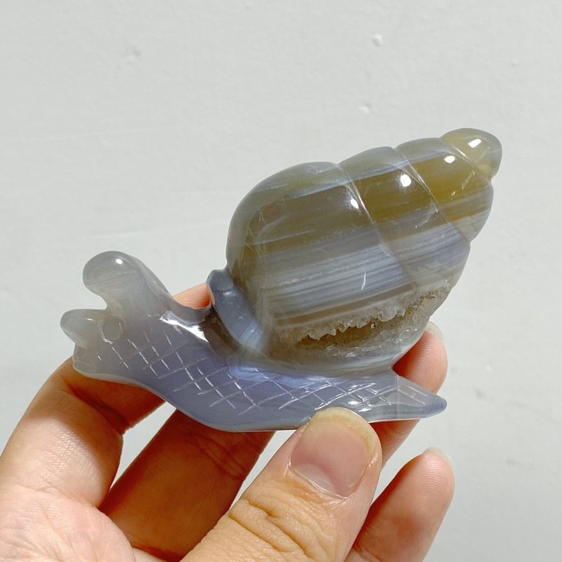 18 Pieces Geode Druzy Agate Snail Carving - Wholesale Crystals