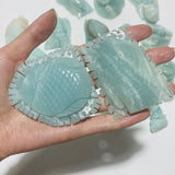 19 Pieces Caribbean Calcite Marine Animals Carving -Wholesale Crystals