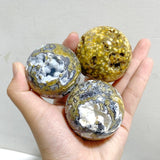 19 Pieces Geode Druzy 8th Vein Ocean Jasper Spheres -Wholesale Crystals