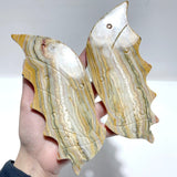 2 Pairs Flying Dragon Wing With Stand Crazy Agate Sakura Flower Agate - Wholesale Crystals