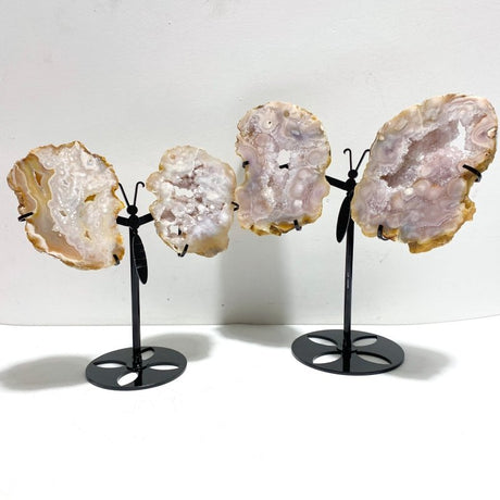 2 Pairs Geode Druzy Sakura Flower Agate Butterfly Wing With Stand - Wholesale Crystals
