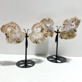 2 Pairs Geode Druzy Sakura Flower Agate Butterfly Wing With Stand - Wholesale Crystals