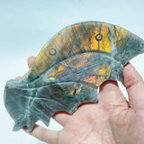 2 Pairs Labradorite Flying Dragon Wing With Stand -Wholesale Crystals