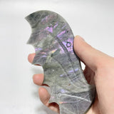 2 Pairs Labradorite Flying Dragon Wing With Stand -Wholesale Crystals