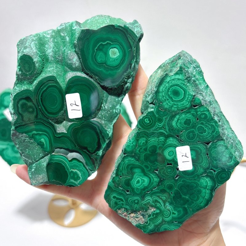 2 Pairs Polished Malachite Raw Slab Butterfly Wing Crystal Carving With Stand (#1) - Wholesale Crystals