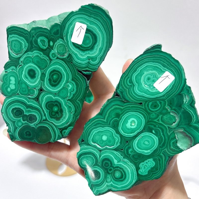 2 Pairs Polished Malachite Raw Slab Butterfly Wing Crystal Carving With Stand (#1) - Wholesale Crystals