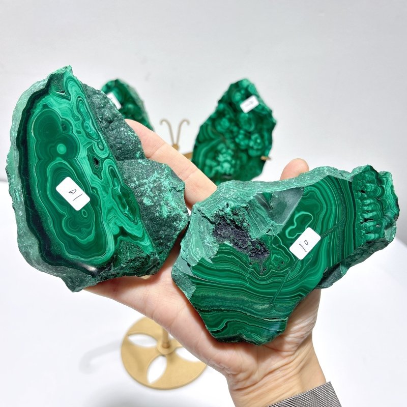 2 Pairs Polished Malachite Raw Slab Butterfly Wing With Stand (#3) - Wholesale Crystals