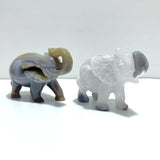 2 Pieces Beautiful Geode Agate Druzy Elephant Carving - Wholesale Crystals