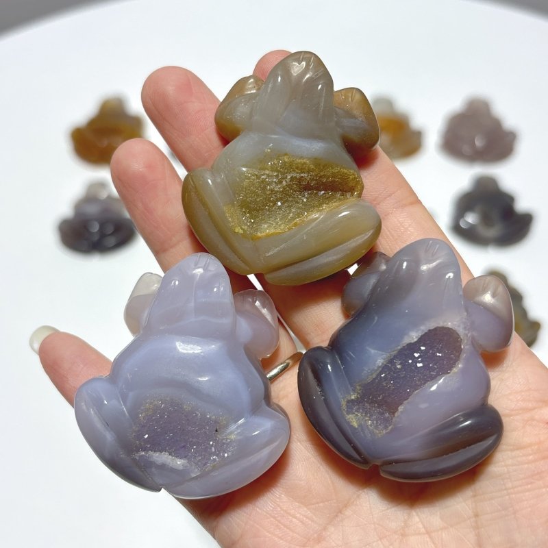 20 Pieces Geode Druzy Agate Frog Carving - Wholesale Crystals