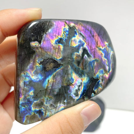 20 Pieces High Quality Polished Purple Blue Labradorite Free Form - Wholesale Crystals