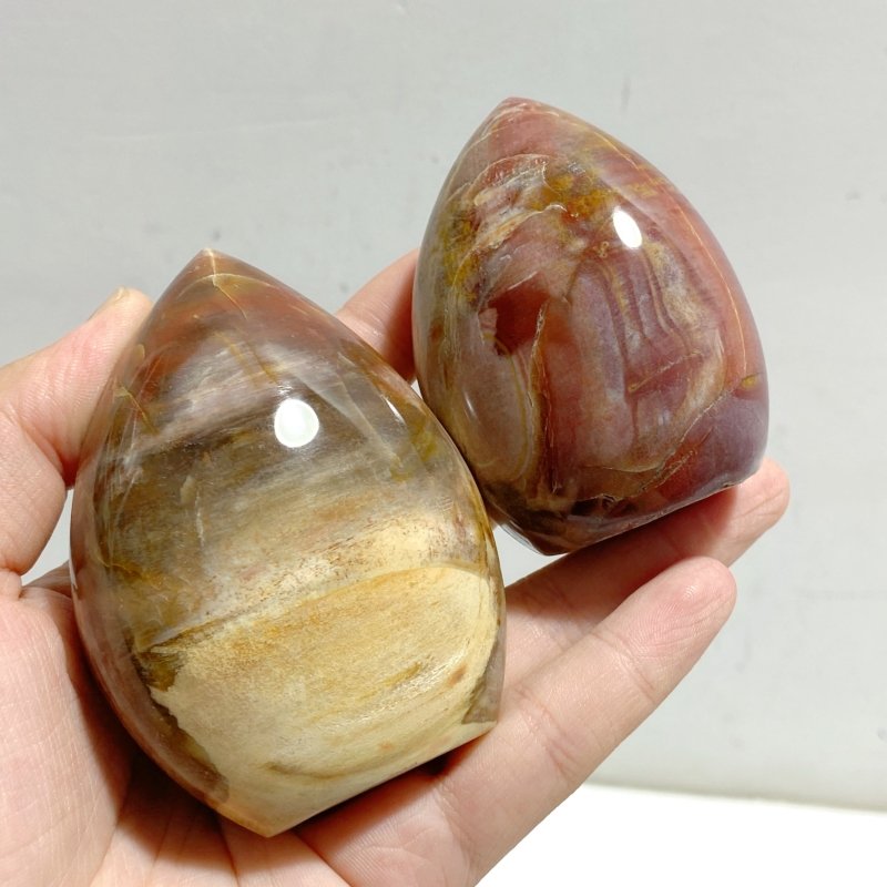 20 Pieces Petrified Wood Stone Arrow Head Shape -Wholesale Crystals