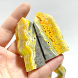 22 Pieces Deep Yellow Bumble Bee Jasper Raw Side Point - Wholesale Crystals