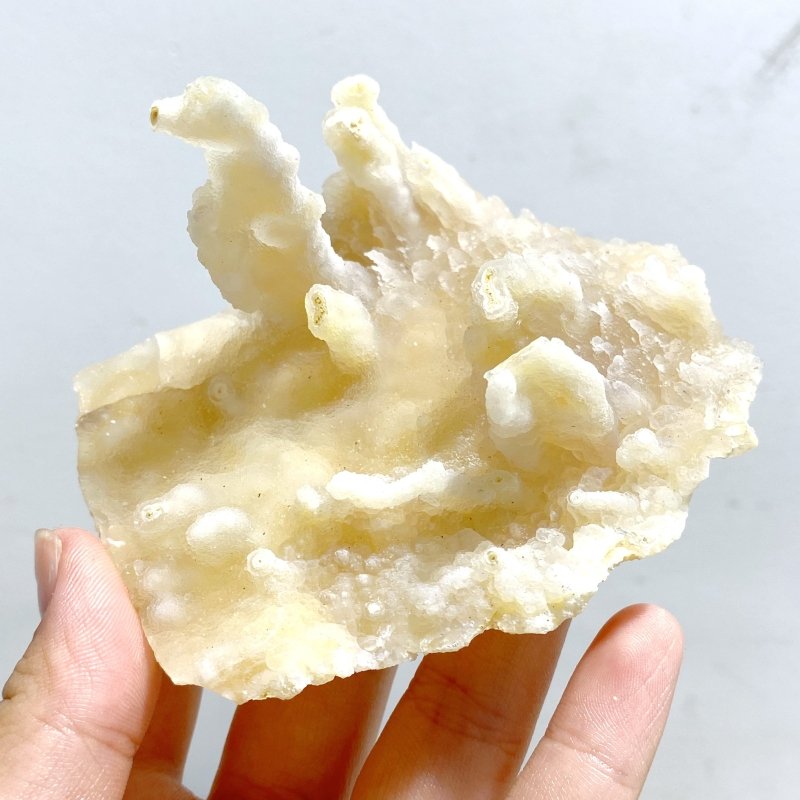 23 Pieces Raw Agate Stones(Sea Freight Only) -Wholesale Crystals