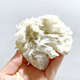 23 Pieces Raw Agate Stones(Sea Freight Only) -Wholesale Crystals