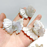 25 Pieces Sakura Flower Agate Butterfly Carving(Clearance) - Wholesale Crystals