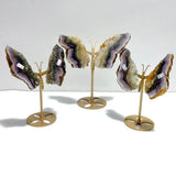 3 Pairs Fluorite Mixed Pyrite Butterfly Wing With Stand 5 - Wholesale Crystals