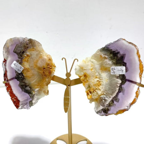 3 Pairs Fluorite Mixed Pyrite Butterfly Wing With Stand 7 - Wholesale Crystals