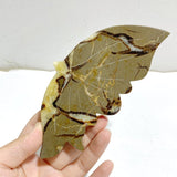 3 Pairs Septarian Butterfly Wing Carving With Stand 4 -Wholesale Crystals