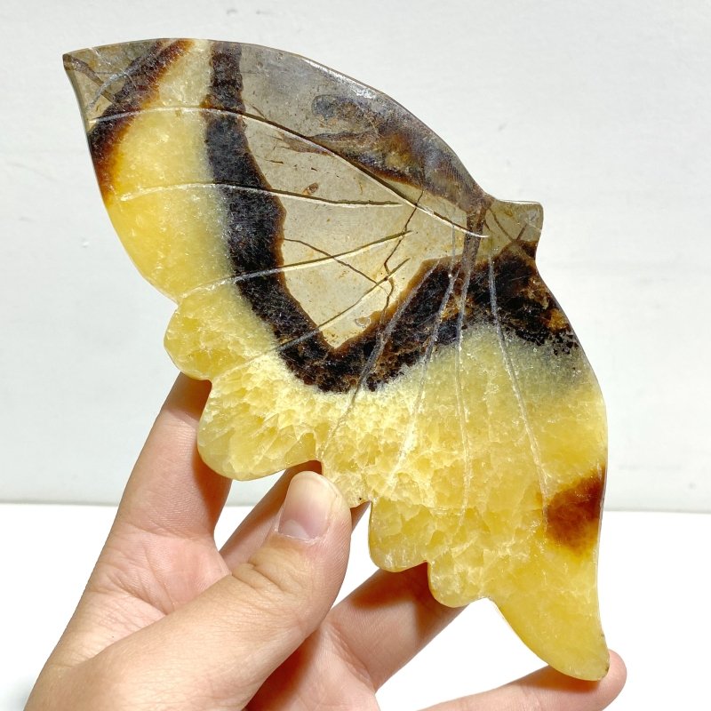 3 Pairs Septarium Butterfly Wing Carving With Stand 3 - Wholesale Crystals