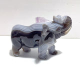 3 Pieces Amethyst Mixed Geode Druzy Agate Elephant Animal Carving A22 - Wholesale Crystals