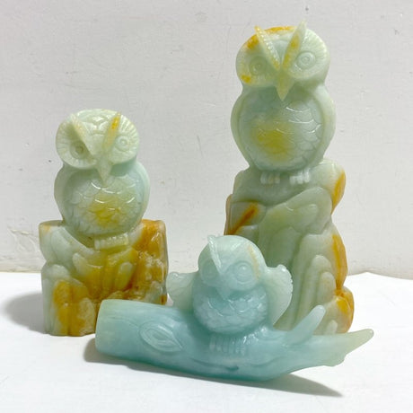 3 Pieces Caribbean Calcite Owl Carving -Wholesale Crystals