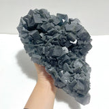 3 Pieces Large Blue Fluorite Mixed Pyrite Raw Stone Specimen - Wholesale Crystals