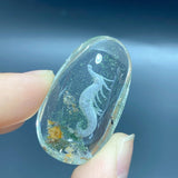 3 Pieces Unique Seahorse Garden Quartz Inner Scene Carving - Wholesale Crystals