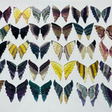 30 Pairs Rainbow Fluorite Butterfly Carving (A3BTF) - Wholesale Crystals