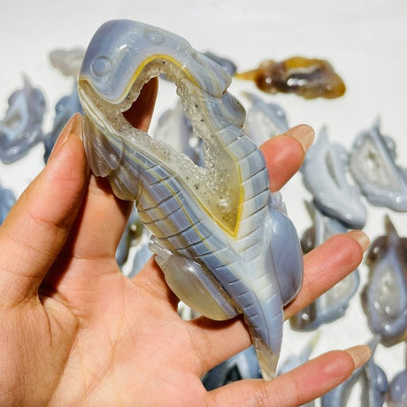30 Pieces Druzy Geode Agate Giant Salamander Carving -Wholesale Crystals