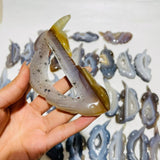 30 Pieces Druzy Geode Agate Giant Salamander Carving -Wholesale Crystals