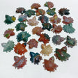 31 Pieces Colourful Ocean Jasper Sea Turtle Carving - Wholesale Crystals