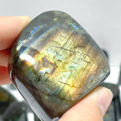 33 Pieces Labradorite High Quality Polished Free Form - Wholesale Crystals