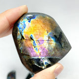 37 Pieces High Quality Polished Labradorite Free Form - Wholesale Crystals