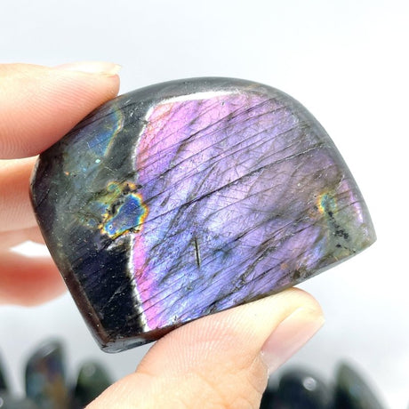 37 Pieces High Quality Polished Labradorite Free Form - Wholesale Crystals
