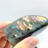 37 Pieces High Quality Polished Labradorite Free Form - Wholesale Crystals