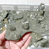 37 Pieces Raw Pyrite Stones (Sea Freight Only) -Wholesale Crystals