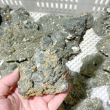 37 Pieces Raw Pyrite Stones (Sea Freight Only) -Wholesale Crystals