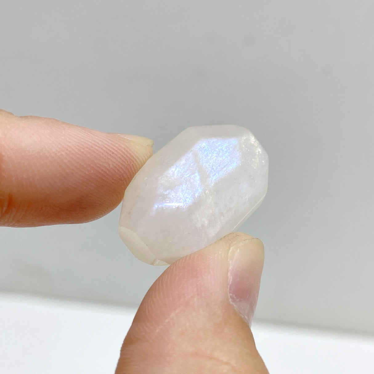 Small High Quality Blue Moonstone Free Form Wholesale
