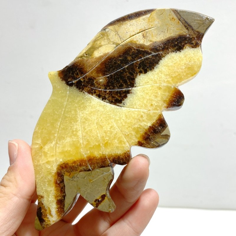 4 Pairs Septarian Butterfly Wing Carving With Stand 5 - Wholesale Crystals