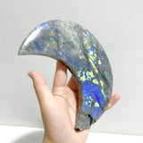 4 Pieces Beautiful Labradorite Moon Carving With Stand - Wholesale Crystals