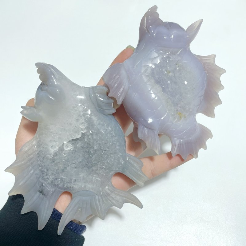 4 Pieces Geode Druzy Agate Fish with Pig&Calf Head Carving - Wholesale Crystals