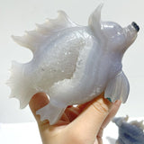 4 Pieces Geode Druzy Agate Fish with Pig&Calf Head Carving - Wholesale Crystals