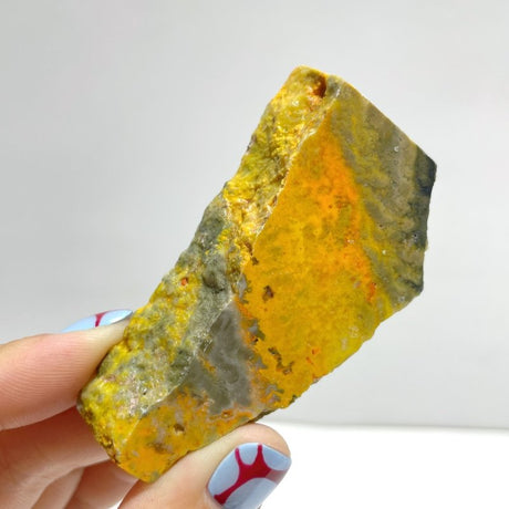 42 Pieces Bumble Bee Jasper Polished Home Decor - Wholesale Crystals