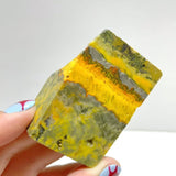 42 Pieces Bumble Bee Jasper Polished Home Decor - Wholesale Crystals