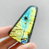 44 Pieces Polished Labradorite Free Form -Wholesale Crystals